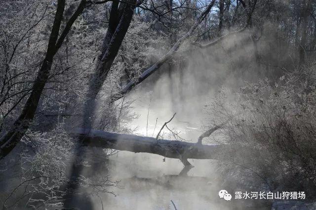 小猫钓鱼开船版最新版下载